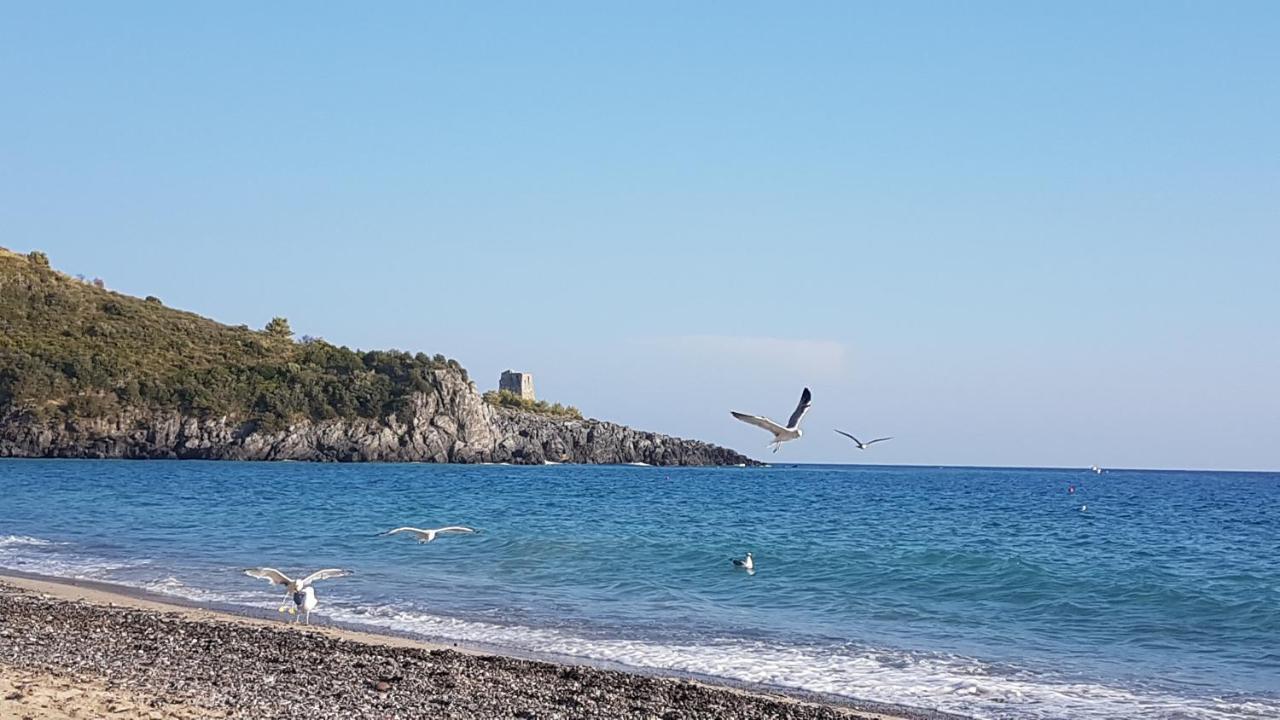 Residence San Antonio Marina di Camerota Kültér fotó